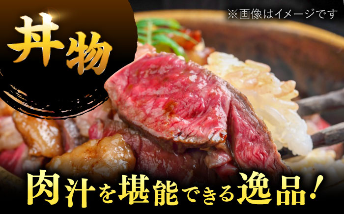 博多和牛 サーロイン ステーキ 250g [250g×1枚] 