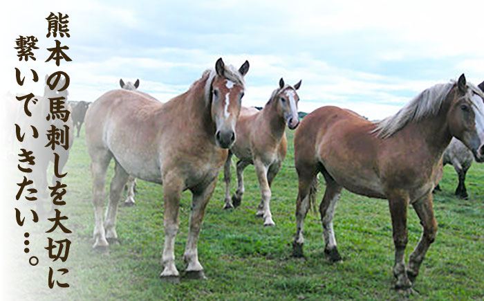 国産 馬刺し 熊本 カット済み 赤身 スライス馬刺し 冷凍 小分け 馬刺 ばさし バサシ 馬肉 刺身 ヘルシー おつまみ 晩酌