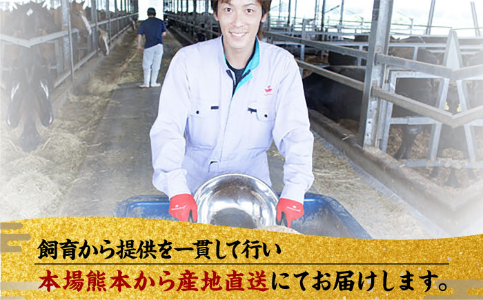 国産 馬刺し 熊本 カット済み 赤身 スライス馬刺し 冷凍 小分け 馬刺 ばさし バサシ 馬肉 刺身 ヘルシー おつまみ 晩酌
