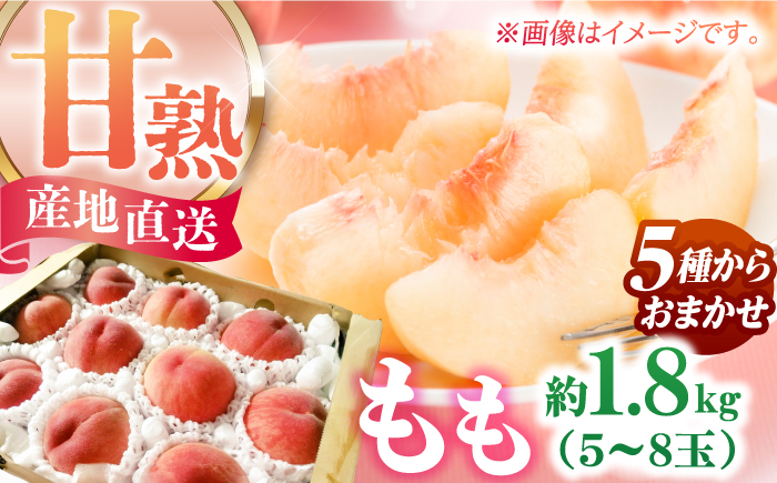 もも モモ 桃 旬 果物 フルーツ