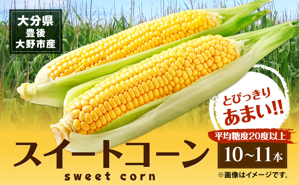 スイートコーン 約4.5kg前後 ( 10本～11本 ) とうもろこし