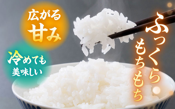 GA11 【美味しい！安心！】お試しサイズ10kg♪鬼木棚田米5kg×2袋セット-2