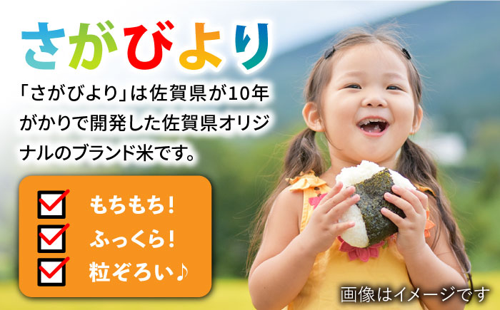 【特A評価】佐賀県武雄市橘産 さがびより 10kg さがびより 白米 米 お米 こめ 白米 精米 ブランド米