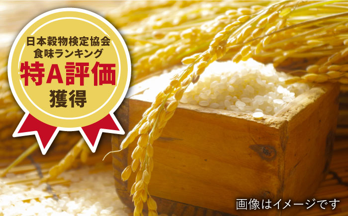 武雄市若木産 夢しずく 10kg 米 白米