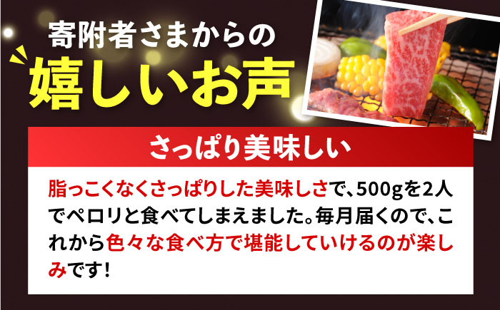 ステーキ 人気 和牛  壱岐牛 希少 柔らかい やわらかい 贈り物 ギフト  肉
