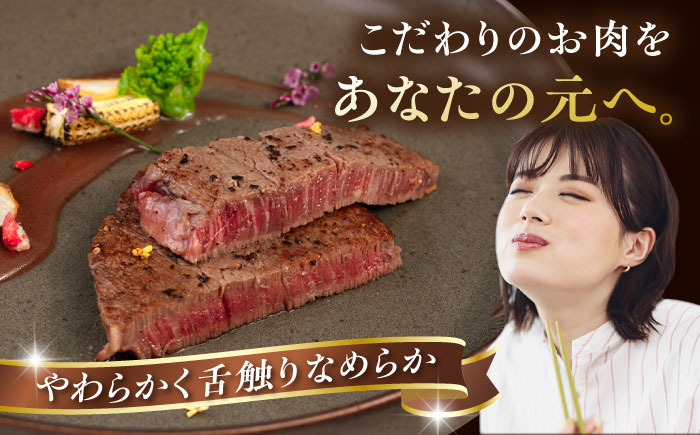 ステーキ ヒレ ヒレ肉 フィレ 牛肉 赤身 黒毛和牛 国産 博多 和牛 おすすめ