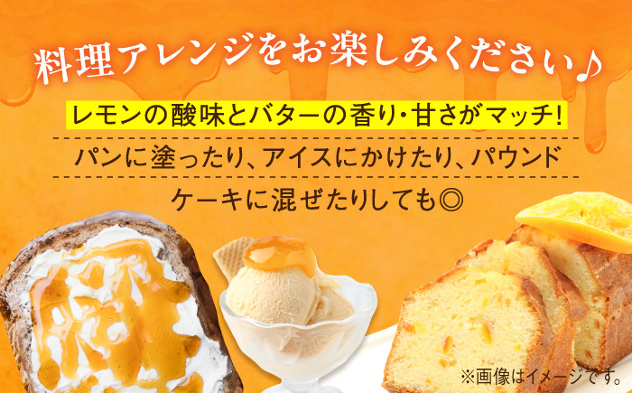 【全3回定期便】江田島産100% はちみつ レモンカード檸檬の初恋 120g×3本セット ハチミツ 蜂蜜 広島 江田島