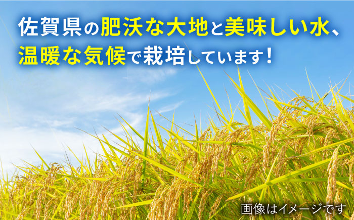 【最高ランク特A評価15年連続！】さがびより 5kg 白米