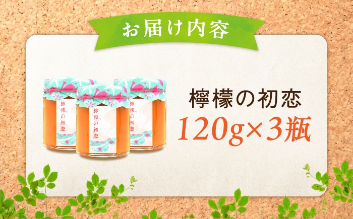【全6回定期便】江田島産100% はちみつ レモンカード檸檬の初恋 120g×3本セット ハチミツ 蜂蜜 広島 江田島