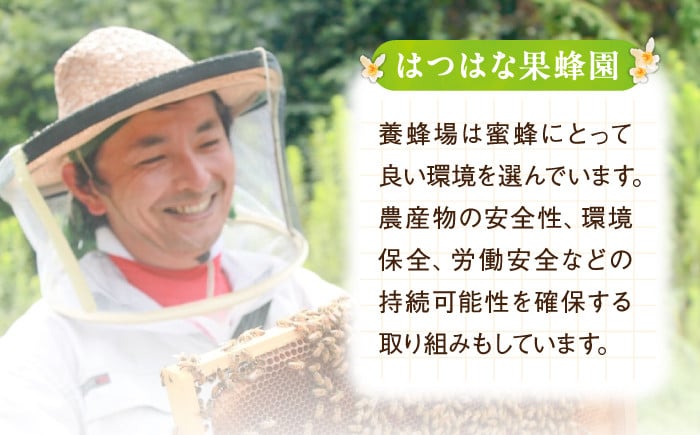 【全6回定期便】江田島産100% はちみつ レモンカード檸檬の初恋 120g×3本セット ハチミツ 蜂蜜 広島 江田島