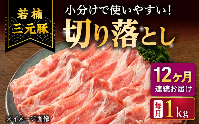 【12回定期便】若楠三元豚 切り落とし 1kg（250g×4パック）/ナチュラルフーズ [UBH076]