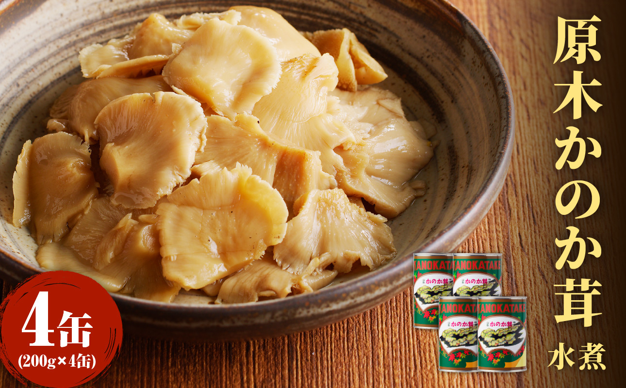 大江町柳川産 原木かのか茸(ブナハリタケ)水煮200g×4缶(固形量)
