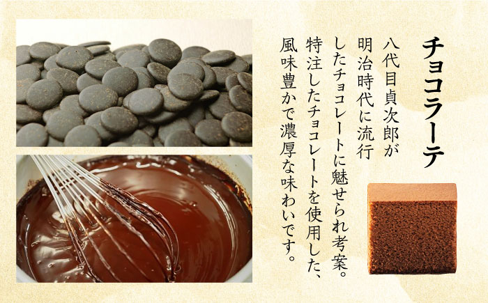 カステラ かすてら お菓子 おやつ デザート スイーツ チョコ 2本 長崎県 長崎 定期便