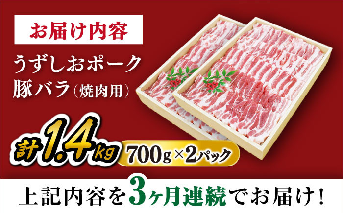 長崎うずしおポーク バラ 焼肉 豚バラ 焼き肉 ブランド豚 長崎県産 西海市 うずしおポーク 焼肉用