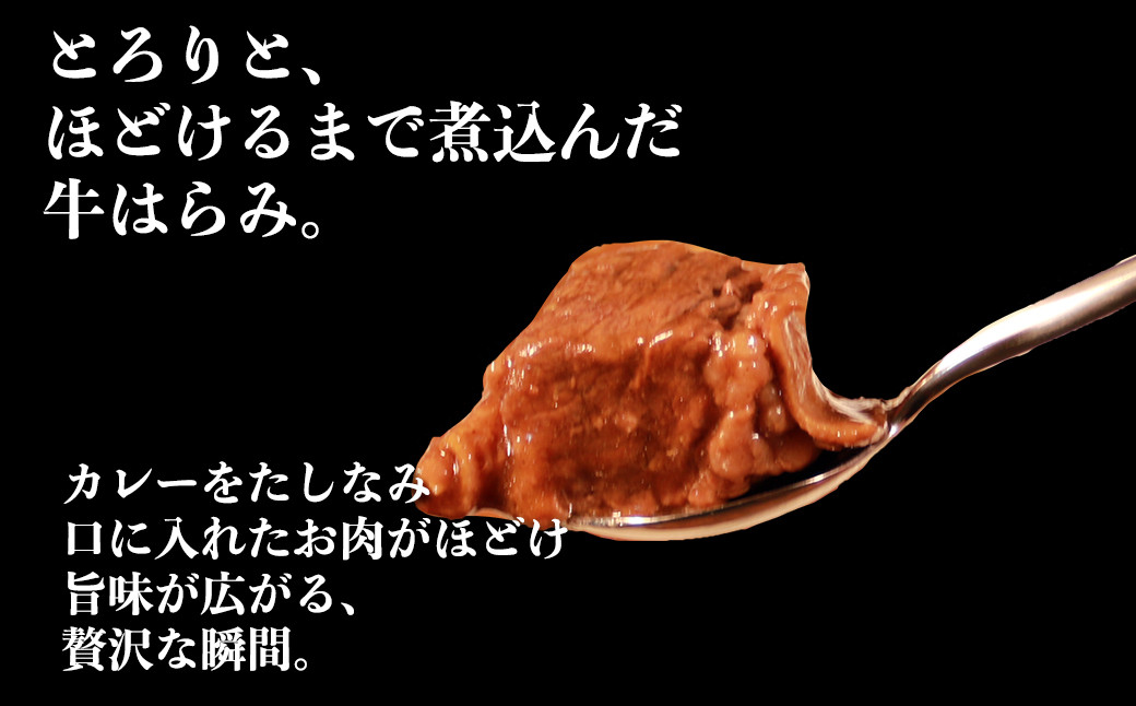 【訳あり】具だくさん やわらか牛ハラミカレー 250g×6パック 計1.5kg