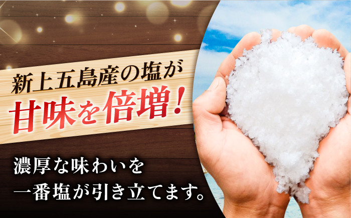 【全6回定期便】 塩あんのうチーズケーキ / 安納芋 スイーツ 冷凍 新上五島町