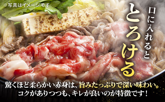 ステーキ 人気 和牛  壱岐牛 希少 柔らかい やわらかい 贈り物   肉 黒毛