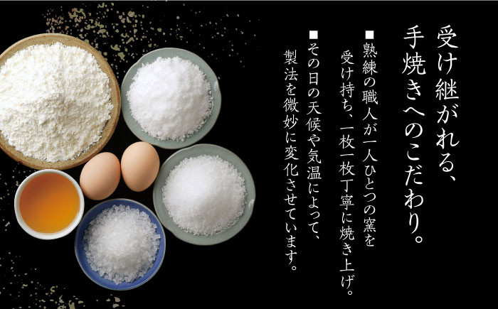 カステラ かすてら お菓子 おやつ デザート スイーツ チョコ 2本 長崎県 長崎 定期便