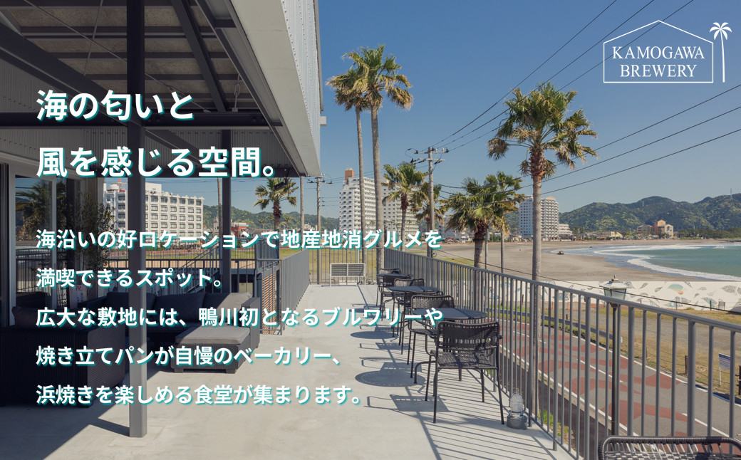 太平洋を望むテラスで、潮の香りと風を感じながら味わう、作りたてのクラフトビール。ここだけでしか体験できない、最上級の大人の贅沢。