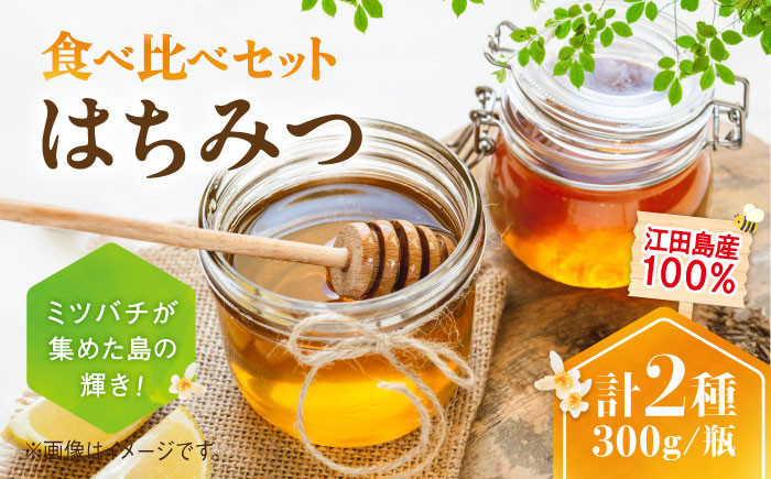 江田島産100％ はちみつ 2種食べ比べセット（300g×2本） ハチミツ 蜂蜜 国産 広島 江田島
