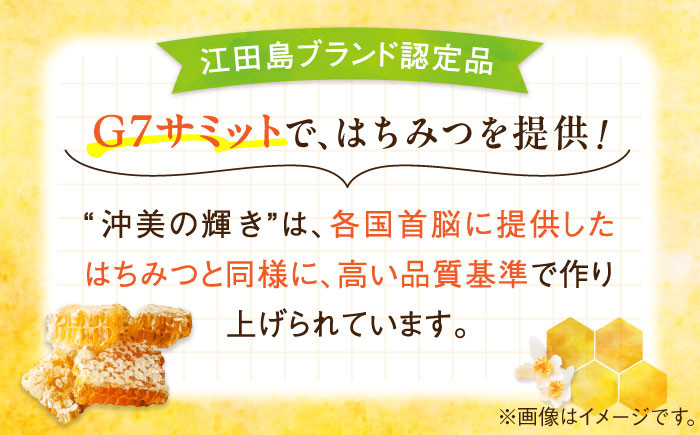 【全6回定期便】江田島産100％ はちみつ 沖美の輝き120g×6本セット ハチミツ 蜂蜜 国産 広島 江田島