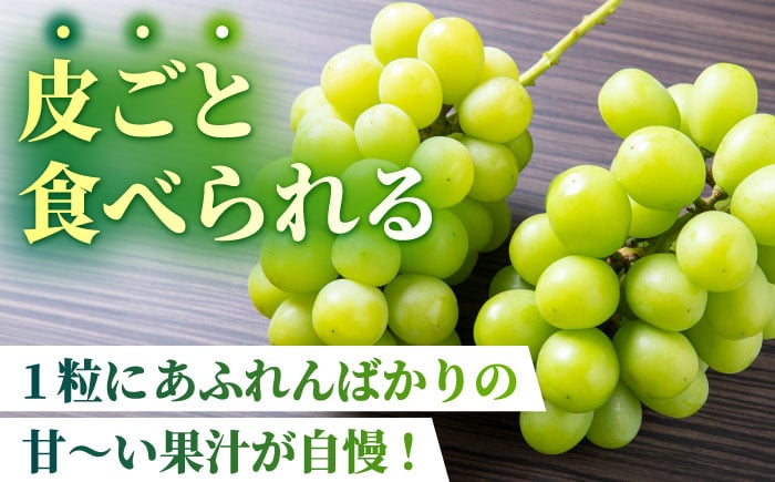 訳あり シャインマスカット 約700g(1～2房) 果物 ぶどう フルーツ シャインマスカット