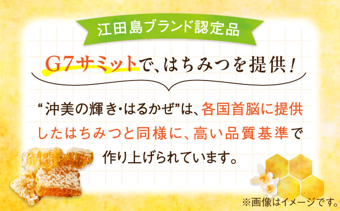 江田島産100％ はちみつ 2種食べ比べセット（300g×2本） ハチミツ 蜂蜜 国産 広島 江田島