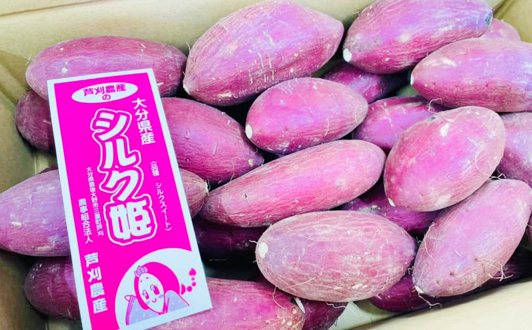 さつまいも 食べ比べ セット シルク姫 約5kg + はるか姫 約5kg