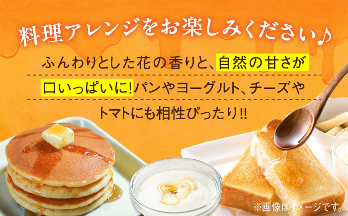 【全3回定期便】江田島産100％ はちみつ 沖美のはるかぜ120g×6本セット ハチミツ 蜂蜜 国産 広島 江田島