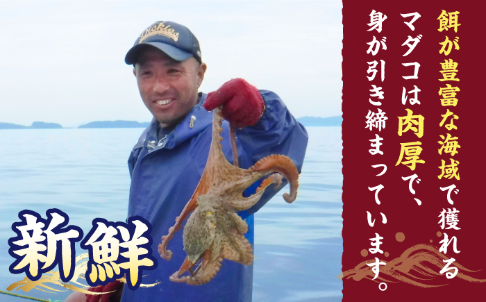 長崎 西海 海鮮 蛸 タコ たこ 新鮮 下処理済み ボイル済み 天然