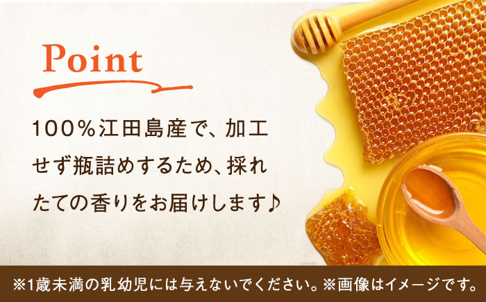 【全12回定期便】江田島産100％ はちみつ 沖美の輝き120g×6本セット ハチミツ 蜂蜜 国産 広島 江田島