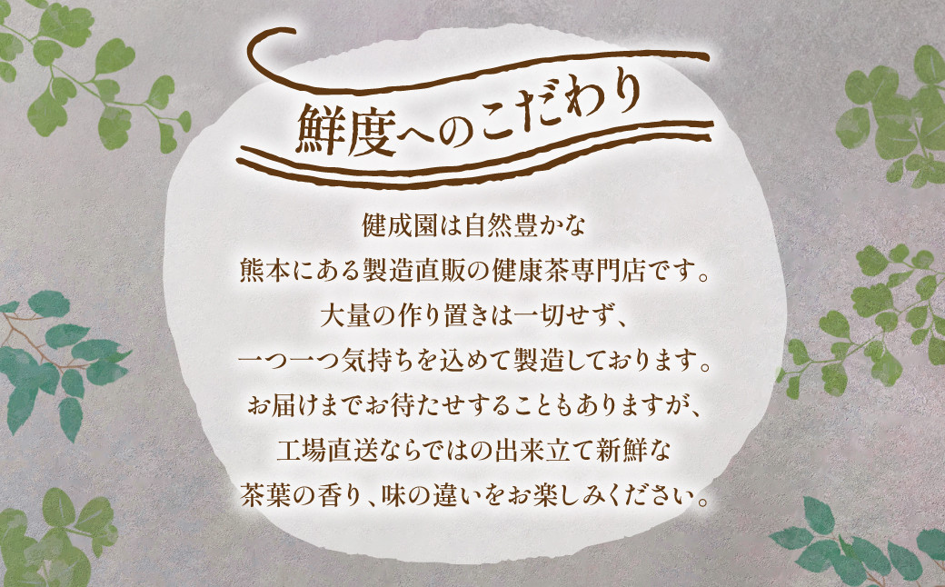 ほうじ茶 約600包 (100包×6) ティーバッグ 焙じ茶 国産