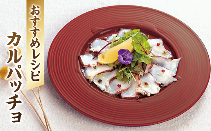 長崎 西海 海鮮 蛸 タコ たこ 新鮮 下処理済み ボイル済み 天然