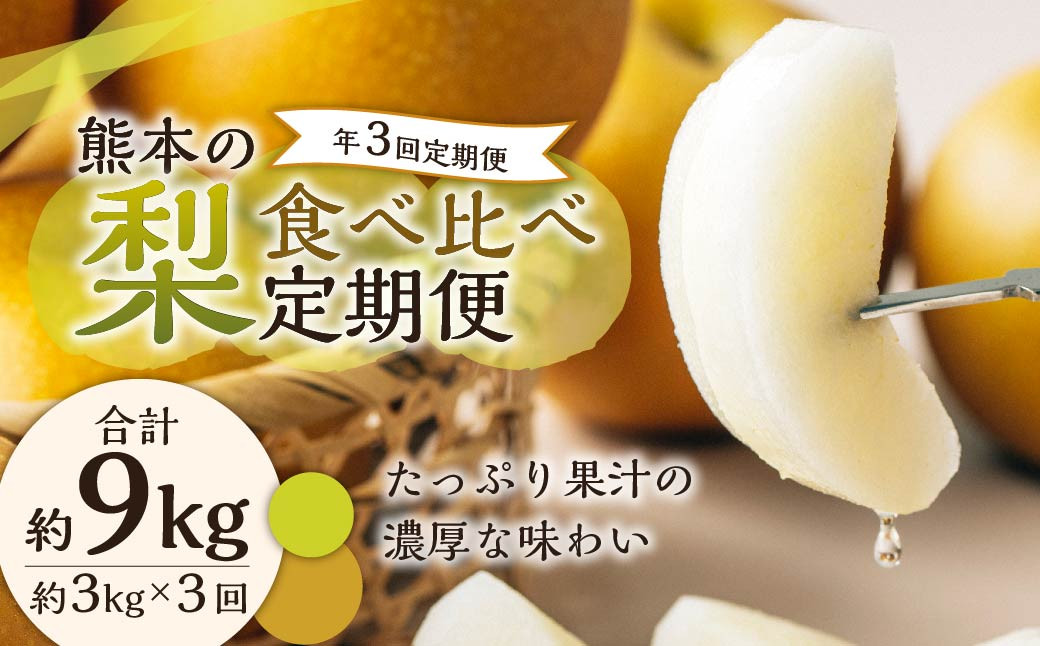 【年3回定期便】【2024年7月下旬発送開始】くまもとの梨食べ比べ定期便