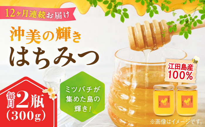 【全12回定期便】江田島産100％ はちみつ 沖美の輝き300g×2本 ハチミツ 蜂蜜 国産 広島 江田島