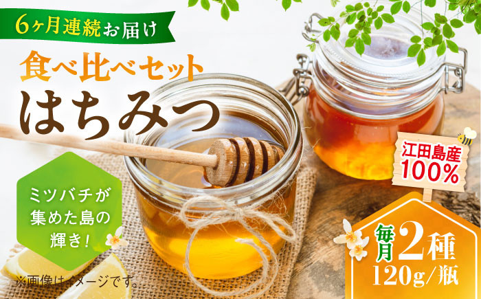 【全6回定期便】江田島産100％ はちみつ 2種食べ比べセット（120g×3本） ハチミツ 蜂蜜 国産 広島 江田島
