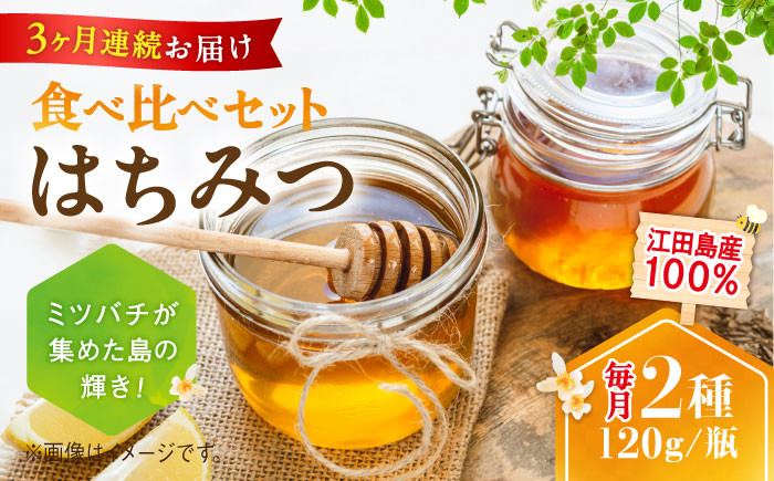 【全3回定期便】江田島産100％ はちみつ 2種食べ比べセット（120g×3本） ハチミツ 蜂蜜 国産 広島 江田島