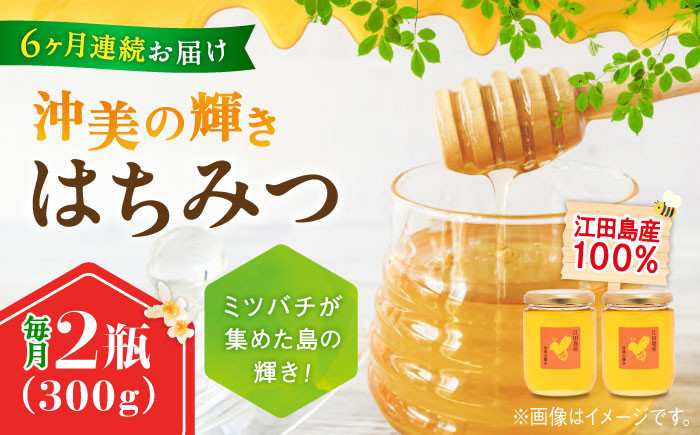 【全6回定期便】江田島産100％ はちみつ 沖美の輝き300g×2本 ハチミツ 蜂蜜 国産 広島 江田島