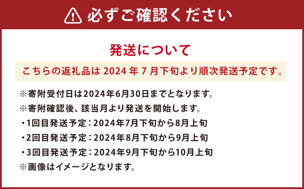 【年3回定期便】【2024年7月下旬発送開始】くまもとの梨食べ比べ定期便