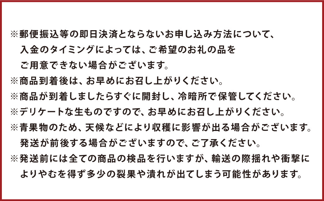 【年3回定期便】【2024年7月下旬発送開始】くまもとの梨食べ比べ定期便