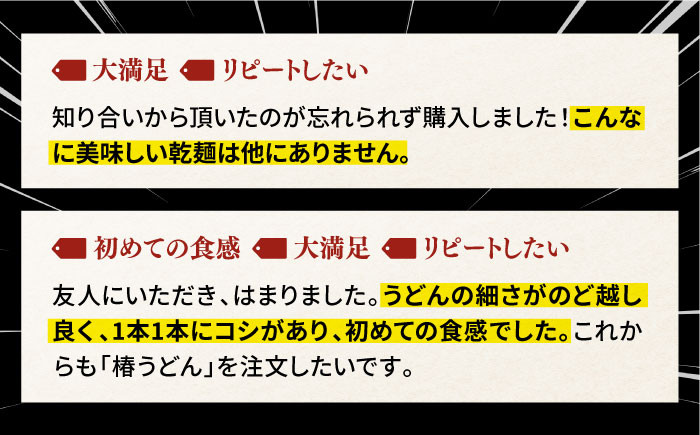 【一番コシの強い!】椿 うどん 300g×10袋 五島うどん 保存食 【中本製麺】