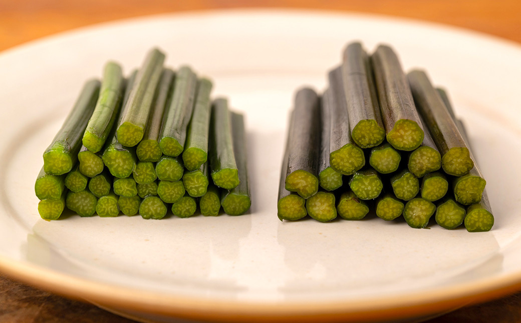 【太さの違い】左が「西わらび」、右が「プレミアム西わらび」太さと色の違いがわかります。