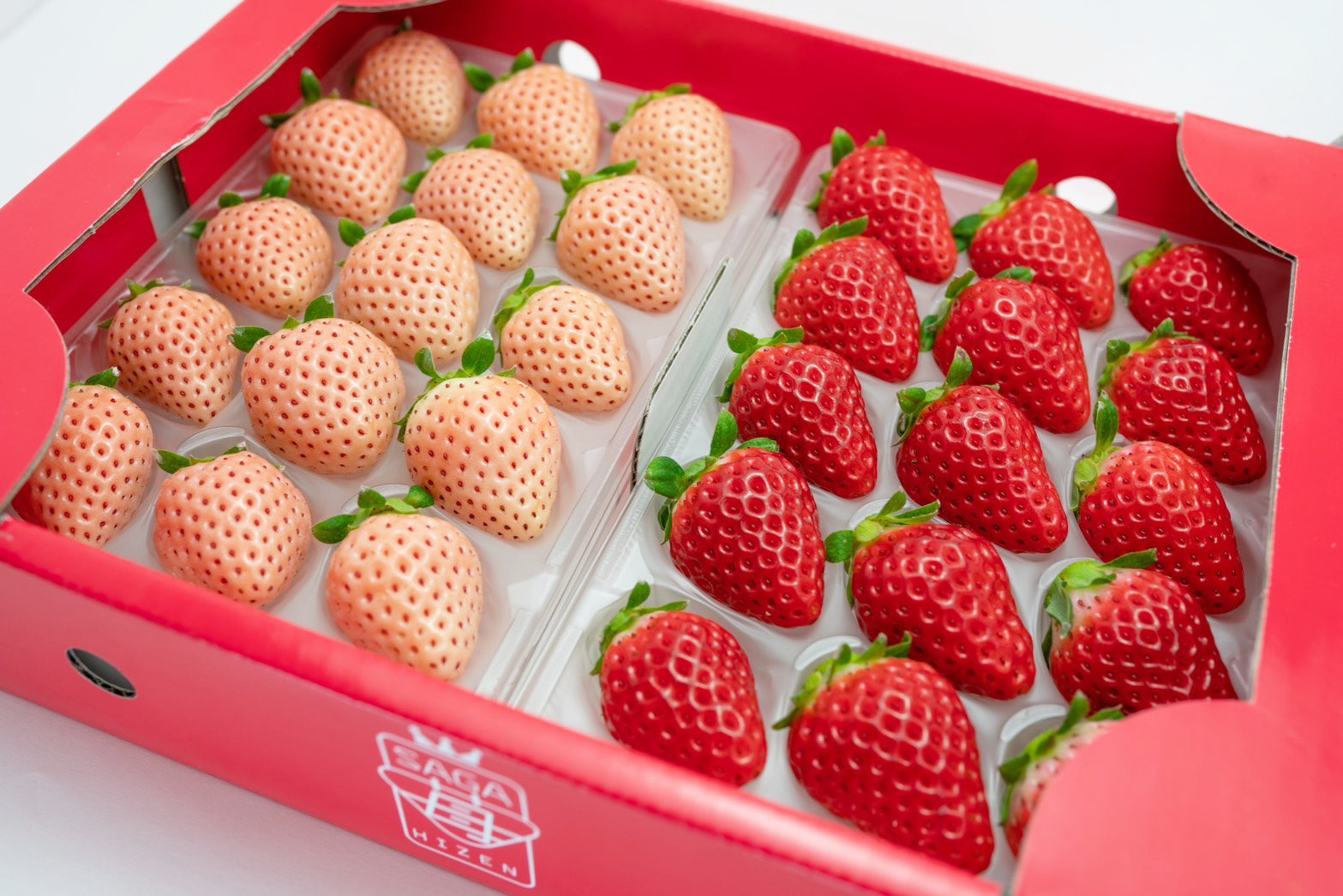 左：淡雪、右：さがほのか