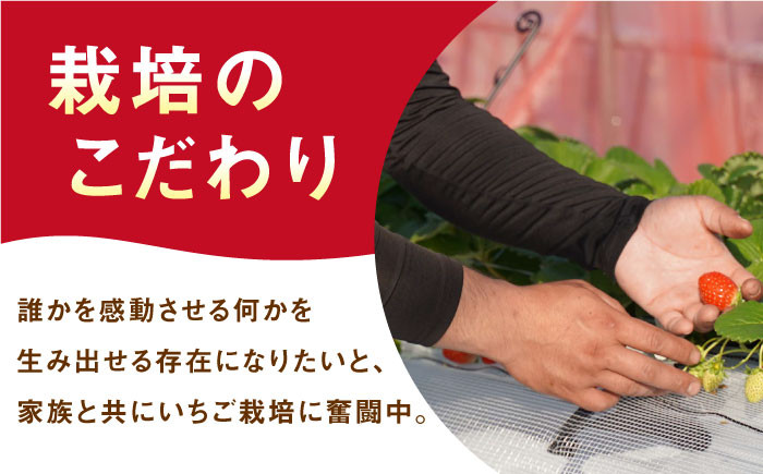 期待の新ブランド！