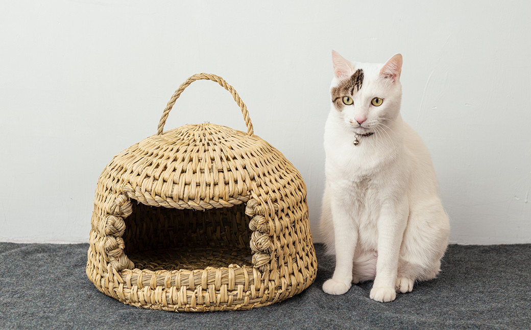 猫も落ち着く 藁の良い香りが漂います