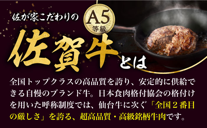 【12回定期便】佐賀牛と若楠三元豚のハンバーグ 食べ比べセット 計4個（2種×2個）/ナチュラルフーズ [UBH084]
