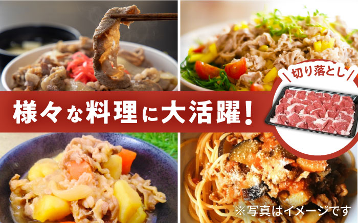 【6回定期便】佐賀牛 バラ 切り落とし 800g（200g×4パック）/ナチュラルフーズ [UBH092]