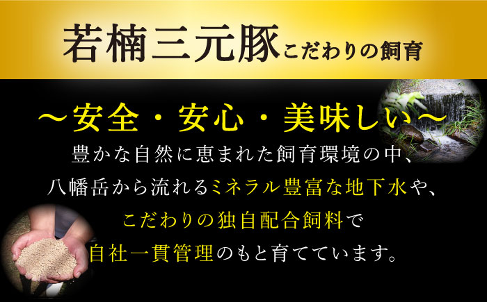 【12回定期便】佐賀牛と若楠三元豚のハンバーグ 食べ比べセット 計4個（2種×2個）/ナチュラルフーズ [UBH084]