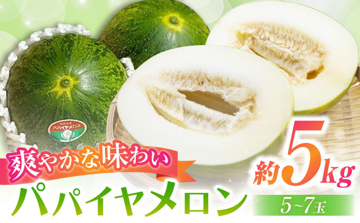 メロン めろん パパイヤメロン 果物 フルーツ