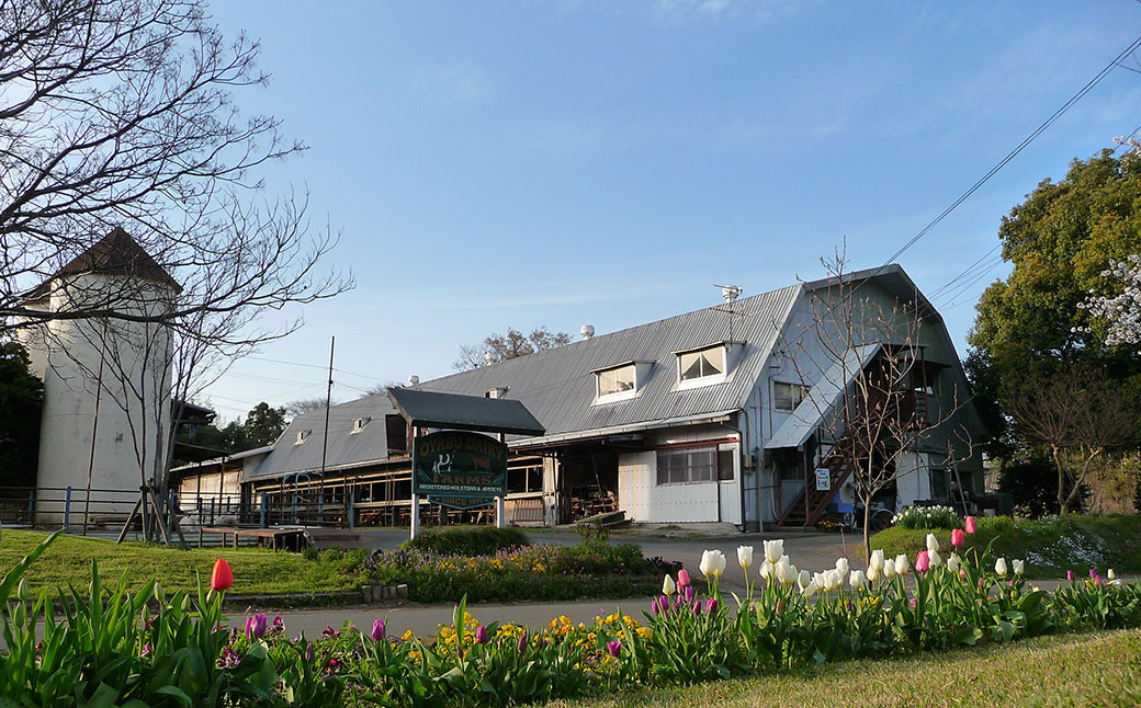 オオヤブデイリーファーム ミルコロ エイジングヨーグルト 200ml×3個入 熊本県合志市｜ふるさとチョイス ふるさと納税サイト